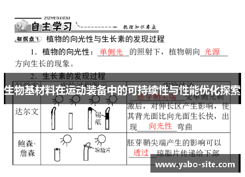 生物基材料在运动装备中的可持续性与性能优化探索
